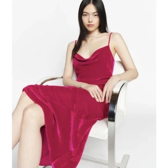 Reformation Salamanca Rhubarb Velvet Dress - Picture 3 of 11